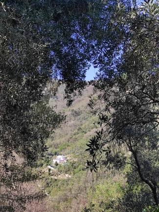 Tottavilla Affittacamere Campodonico  Екстер'єр фото