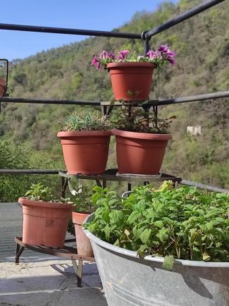 Tottavilla Affittacamere Campodonico  Екстер'єр фото